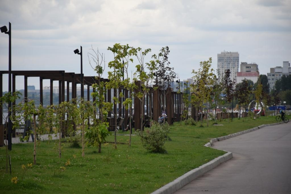 Сотрудники администрации осмотрели состояние зеленых насаждений на Новой Набережной