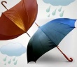 В Саратове ожидается переменная облачность, кратковременный дождь
