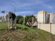 Саратовские школьники приняли участие в акции «Сад памяти»