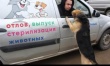 В Гагаринском административном районе проводят мероприятия по отлову безнадзорных животных