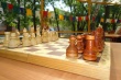 В Заводском районе состоялся турнир по шахматам