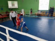 Саратовские боксеры принимают участие в турнире в Дергачах