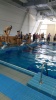 В Октябрьском районе состоялись соревнования по плаванию