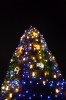 Завтра состоится церемония открытия главной новогодней елки города Саратова