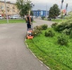 В Кировском районе продолжаются мероприятия по уборке