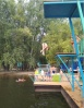 Муниципальный детский оздоровительный лагерь «Олимпиец» стал лучшим в Саратовской области