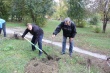 В рамках общегородского субботника в Заводском районе высажено 100 саженцев деревьев