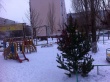 Жители Волжского района радуются новогодним елкам