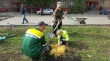 Представители УК ООО «ДомаКонтакт» подарили жителям Елшанки 64 новых дерева