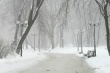 В Саратове ожидается туман, гололедица, снег