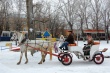 В  Заводском районе Саратова прошли мероприятия, посвященные проводам зимы