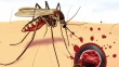 О профилактике малярии