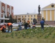 На площади Столыпина появились живые розы