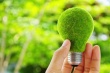 Саратов присоединится к Международному дню энергосбережения