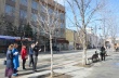 К середине мая на главной пешеходной зоне появится 60 новых деревьев