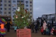 В микрорайоне Иволгино установили праздничную елку