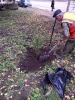 В Кировском районе посадили 300 молодых сосен