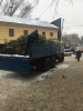 В Заводском районе ликвидирован несанкционированный елочный базар