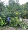 В Гагаринском районе ежедневно проходят работы по благоустройству