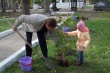 Во Фрунзенском районе Саратова проходят работы по благоустройству и озеленению территории