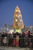 В преддверии главного зимнего праздника в Саратове прошли Новогодние Елки