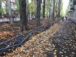 Проведена санитарная очистка скверов в Октябрьском районе