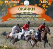 В субботу состоятся соревнования по скачкам на Кубок Главы муниципального образования «Город Саратов» 