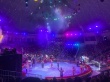Состоялось новогоднее мероприятие в Саратовском цирке имени братьев Никитиных