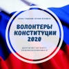 Саратовцы отметили удобство процедуры голосования по поправкам в Конституцию РФ