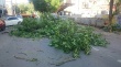 На ул. Октябрьская спилили дерево, создававшее угрозу для жизни