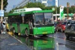 В настоящее время общественный транспорт в Саратове ходит в штатном режиме