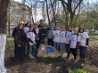 Школьники Ленинского района провели акцию «Зеленая весна 2016»