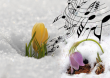 Саратовцев приглашают на вечер «Музыка весеннего цветения» 