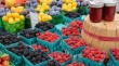 В Саратове открывается ягодная ярмарка