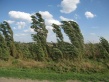 ЕДДС муниципального образования «Город Саратов» информирует об усилении ветра