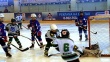 Саратовские хоккеисты вернулись с победой