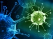 В эпидсезон прогнозируется циркуляция вирусов гриппа трех штаммов