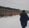 Сотрудники администрации Фрунзенского района проконтролировали условия содержания животных без владельцев