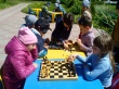 Дошколята Заводского района побывали в королевстве шахмат