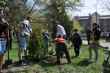 Школьники Саратова активно помогают в благоустройстве города