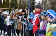 В Саратове готовятся к проведению Дня зимних видов спорта
