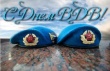 В Саратове отпразднуют День воздушно-десантных войск