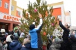 В  школе «Аврора» установили праздничную елку