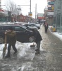 В Кировском районе продолжаются работы по уборке снега 