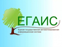 Для предпринимателей города пройдет бесплатный обучающий семинар по нововведениям в ЕГАИС «Учет древесины и сделок с ней»