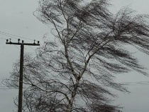 В Саратове ожидается усиление ветра