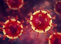 На официальном сайте министерства здравоохранения области создан раздел по профилактике коронавирусной инфекции