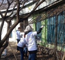 В Детском парке прошла экологическая акция «День добрых дел»