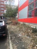 Сотрудниками управления муниципального контроля городской администрации выявлено нарушение за ненадлежащую уборку прилегающей территории