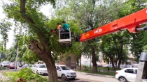 В Кировском районе продолжаются работы по уборке и опиловке зеленых насаждений
